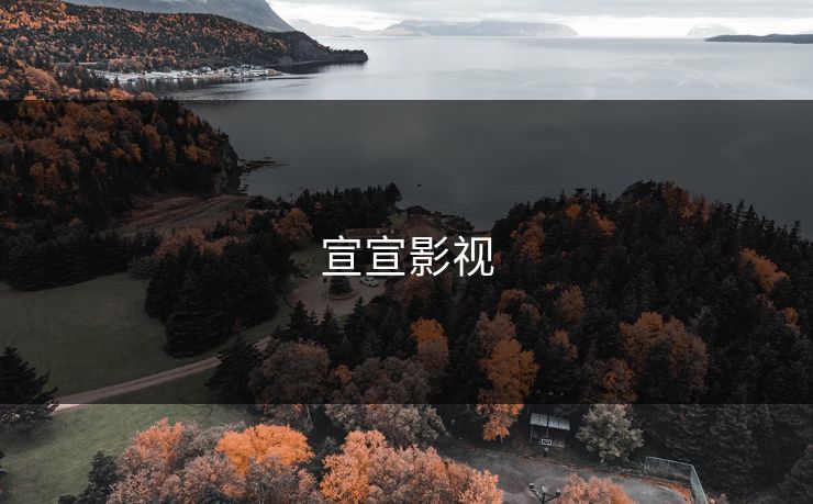 宣宣影视